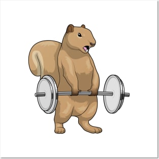 Squirrel Bodybuilding Dumbbells Posters and Art